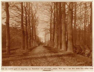 350629 Gezicht in een laan met rijen loofbomen in het park van het huis Nimmerdor bij Amersfoort.